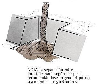 MDN