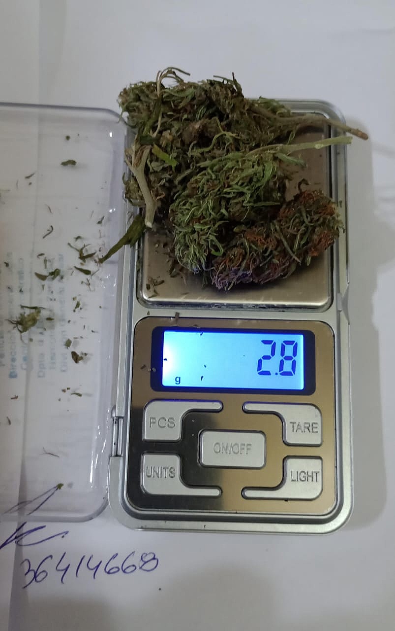 MDN