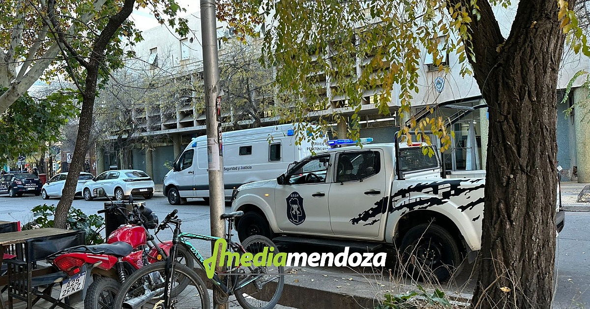 MDN