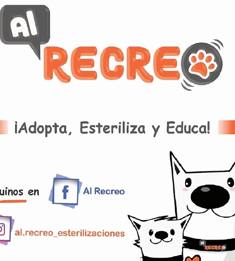  sector_css: 