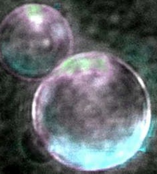  sector_css: 