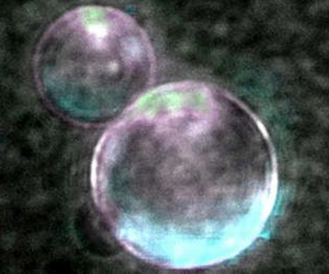  sector_css: 
