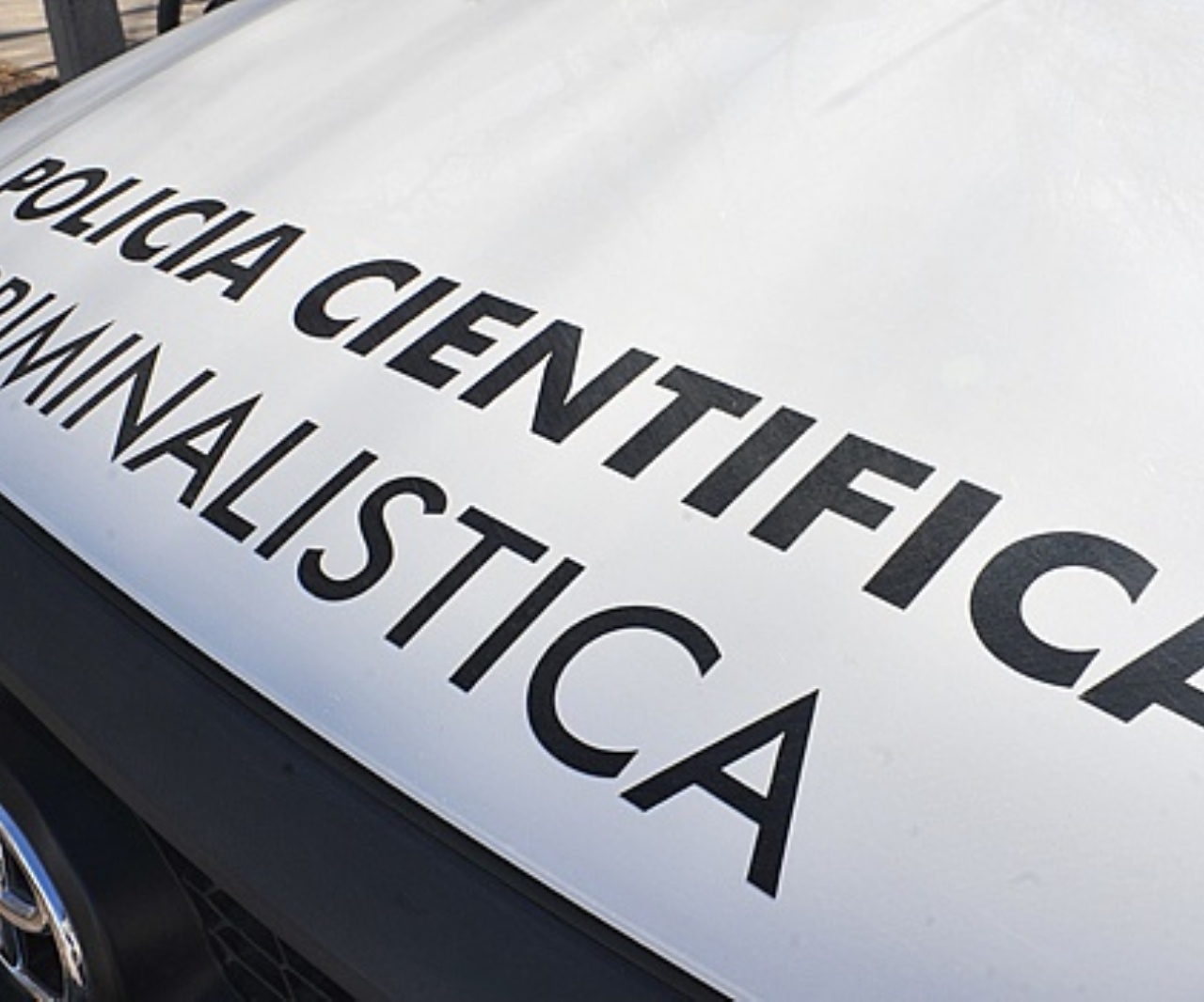  sector_css: 