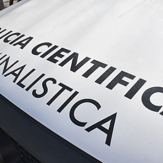  sector_css: 